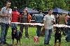  - Tertre Dog Show 29/08/10