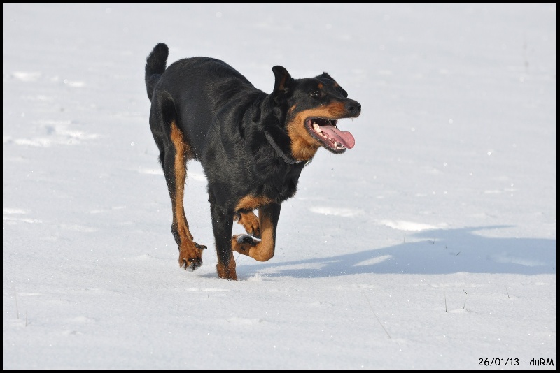 Kúmchroí du regard mordant